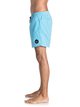 2 Everyday 15" - Swim Shorts Blue EQYJV03200 Quiksilver