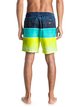 4 Word Waves 17" - Swim Shorts Blue EQYJV03203 Quiksilver