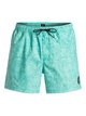 0 Acid 15" - Swim Shorts Blue EQYJV03214 Quiksilver