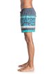 2 Swell Vision 15" - Swim Shorts Blue EQYJV03215 Quiksilver