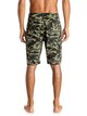 5 Utilitarion Amphibian 21" - Cargo Shorts Green EQYWS03374 Quiksilver