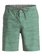 Waterman Seaside Reef - Cargo Shorts  EQMWS03003