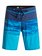 Hold Down Vee 19" - Board Shorts  EQYBS03580