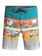 Swell Vision 18" - Beachshorts  EQYBS03773