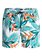 Paradise Point 15" - Swim Shorts  EQYJV03191