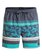 Swell Vision 15" - Swim Shorts  EQYJV03215