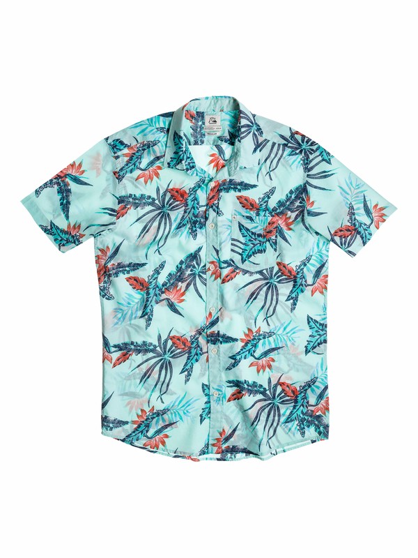 quiksilver, Boys 2-4 Everyday Print Short Sleeve Shirt, Sage Gray - Solid (bfr0) 0 Boys 2-4 Everyday Print Short Sleeve Shirt 40544050 Quiksilver