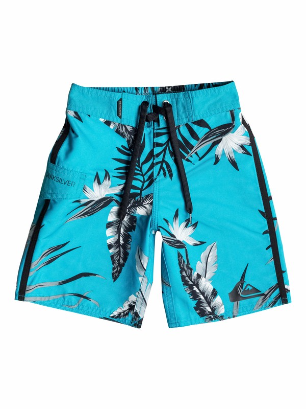 quiksilver, Boys 2-4 Frames Madagascar Boardshorts, Hawaiian Ocean (bmj0) 0 Boys 2-4 Frames Madagascar Boardshorts 40545008 Quiksilver