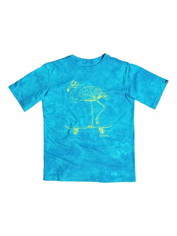 quiksilver, Boys 4-7 Rad Flamingo T-Shirt, Hawaiian Ocean (bmj0) 0 Boys 4-7 Rad Flamingo T-Shirt 40554177 Quiksilver