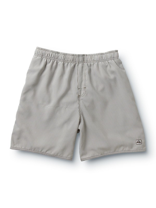 quiksilver, Men's South Beach Volley Boardshorts, LIGHT BROWN (lbr) 0 Men's South Beach Volley Boardshorts 502464 Quiksilver