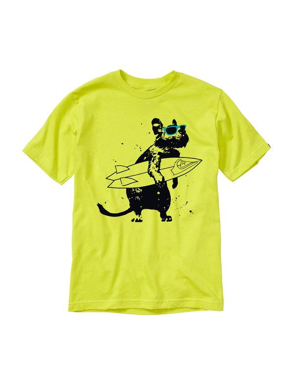 quiksilver, Boys 2-7 Chimpunk T-Shirt, CITRIC ACID (ggp0) 0 Boys 2-7 Chimpunk T-Shirt AQKZT00294 Quiksilver