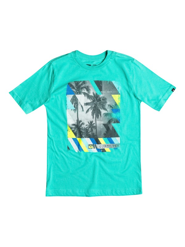 quiksilver, Boys 2-4 Kinda Dicey Tee, POOL GREEN (gmj0) 0 Boys 2-4 Kinda Dicey Tee AQKZT03096 Quiksilver