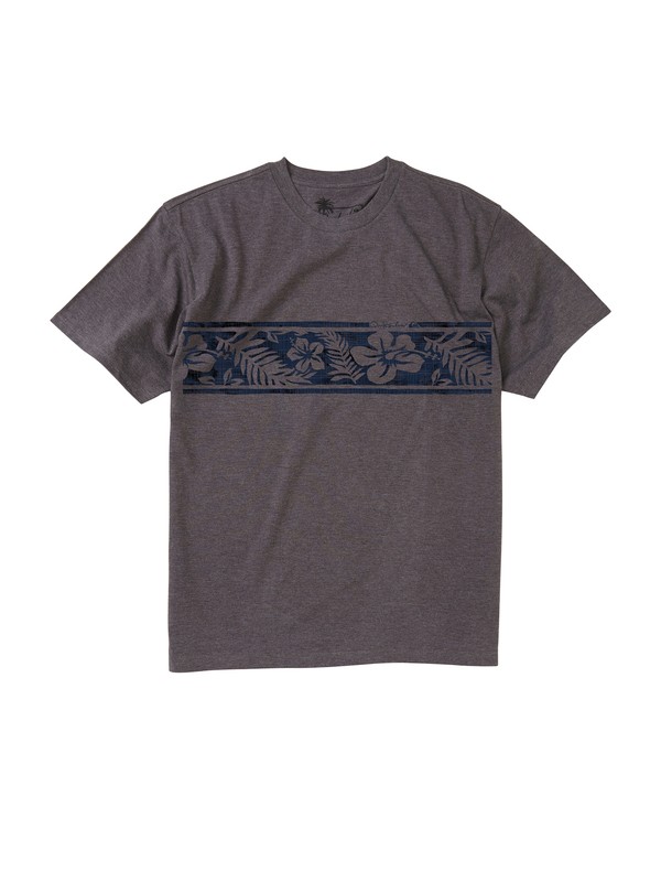 quiksilver, Men’s Disbanded T-Shirt, STORM HEATHER (krph) 0 Men’s Disbanded T-Shirt AQMZT00094 Quiksilver