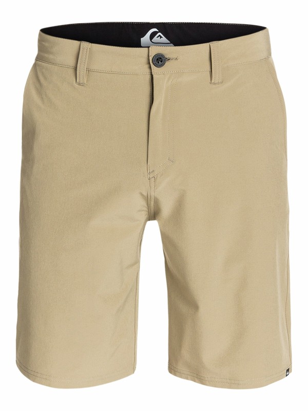 Everyday Solid Amphibian 21" AQYWS03080 0 Everyday Solid Amphibian 21 - Short Amphibian AQYWS03080 Quiksilver