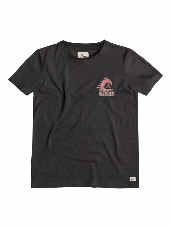 Razorback EQBZT03172 0 Razorback - T-shirt EQBZT03172 Quiksilver