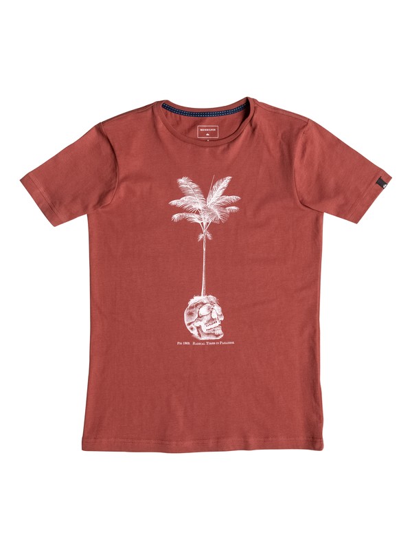 quiksilver, Carbon Cranium - Tee-Shirt, BARN RED (rqj0) 0 Carbon Cranium - Tee-Shirt Rouge EQBZT03369 Quiksilver