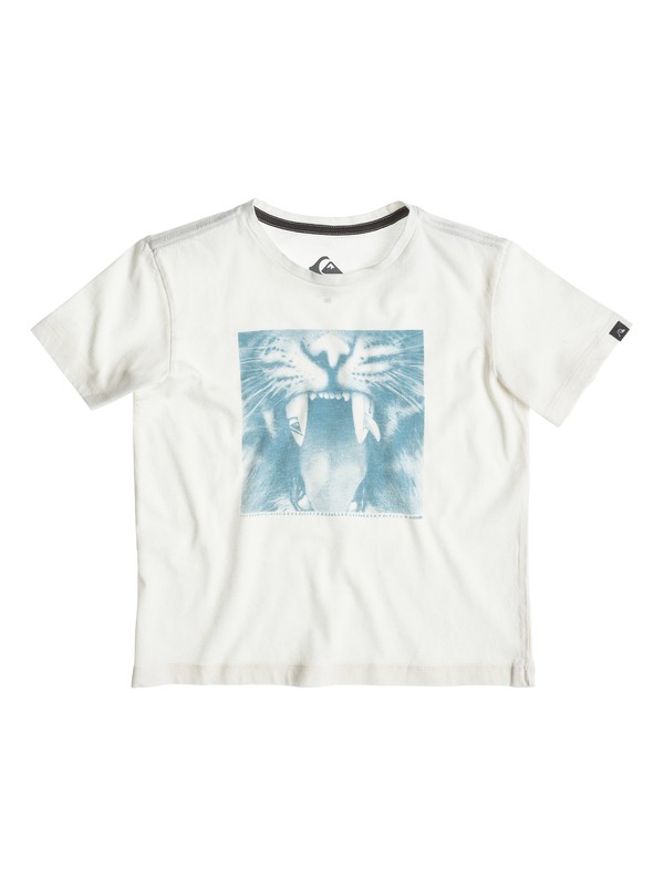 Organic Tee Boy B10 EQKZT03019 0 Organic Tee Boy B10 EQKZT03019 Quiksilver