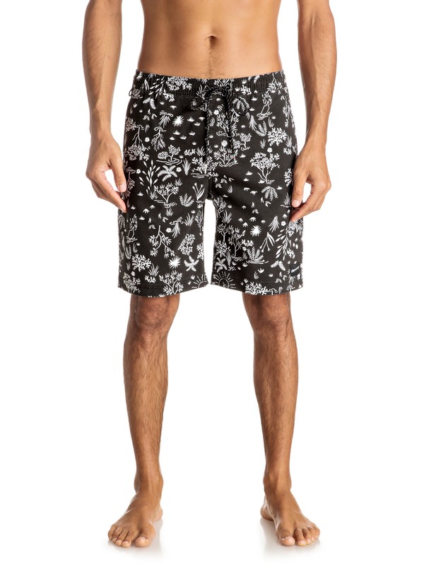 Waisted Garden Amphibian 19" - Shorts EQYWS03363 0 Waisted Garden Amphibian 19" Shorts EQYWS03363 Quiksilver
