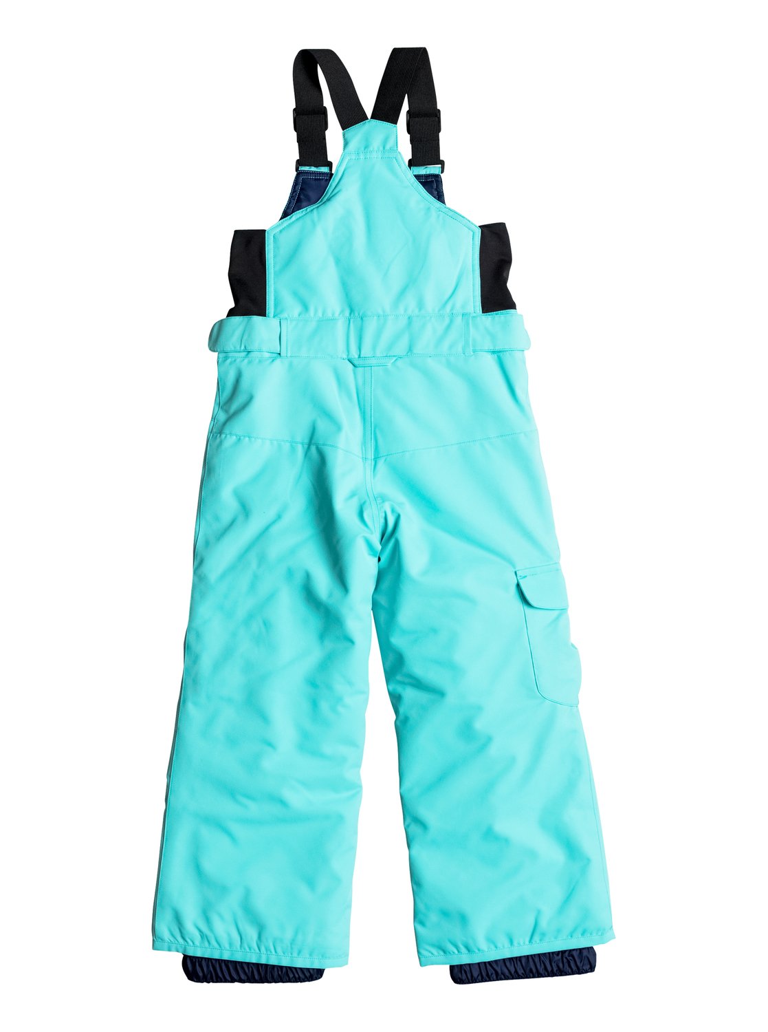 roxy snow pants