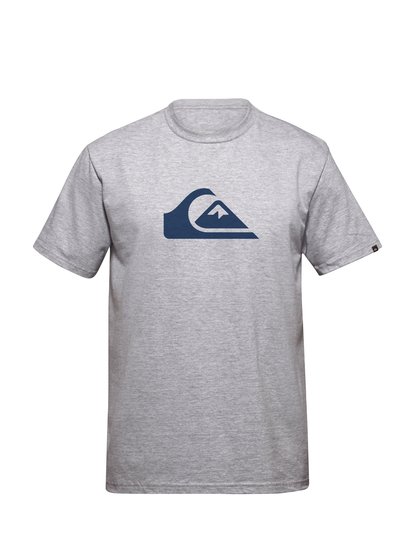 quiksilver, Mountain Wave T-Shirt, Neutral Gray (skp0)